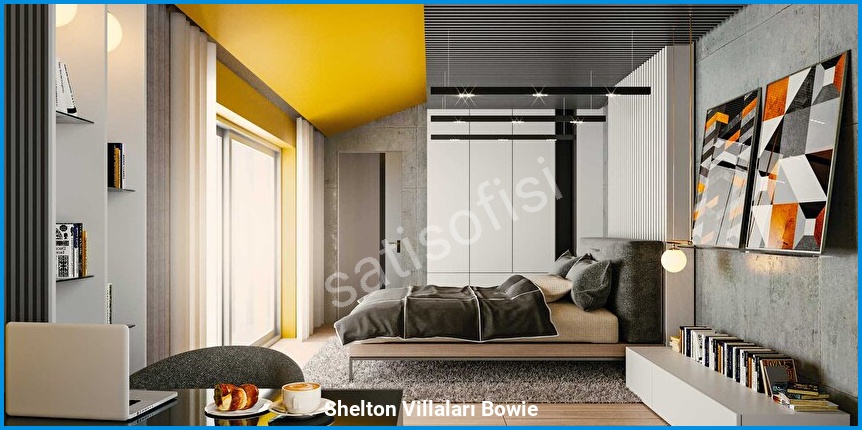 Shelton Villaları Bowie görsel 12