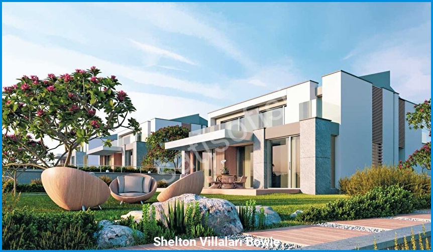 Shelton Villaları Bowie görsel 2
