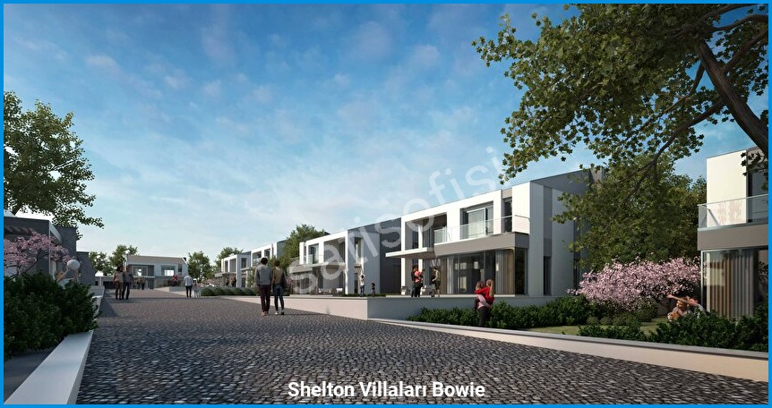 Shelton Villaları Bowie görsel 4