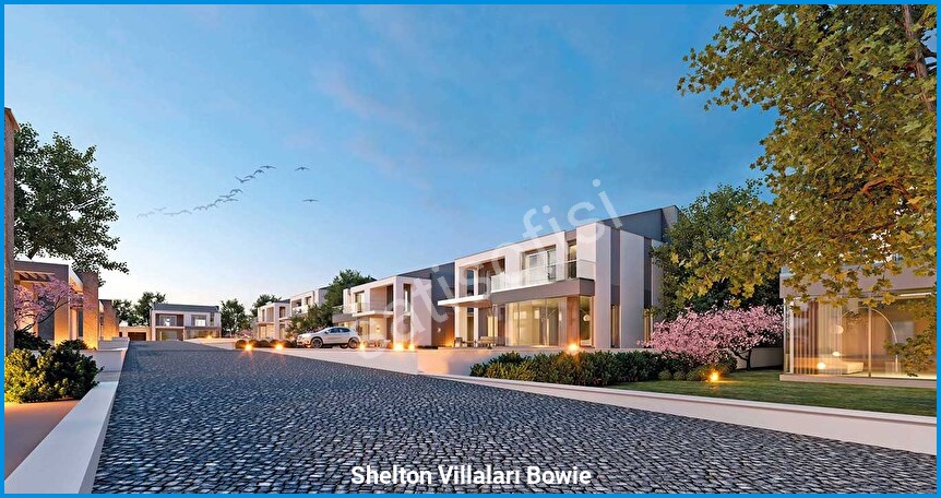 Shelton Villaları Bowie görsel 6