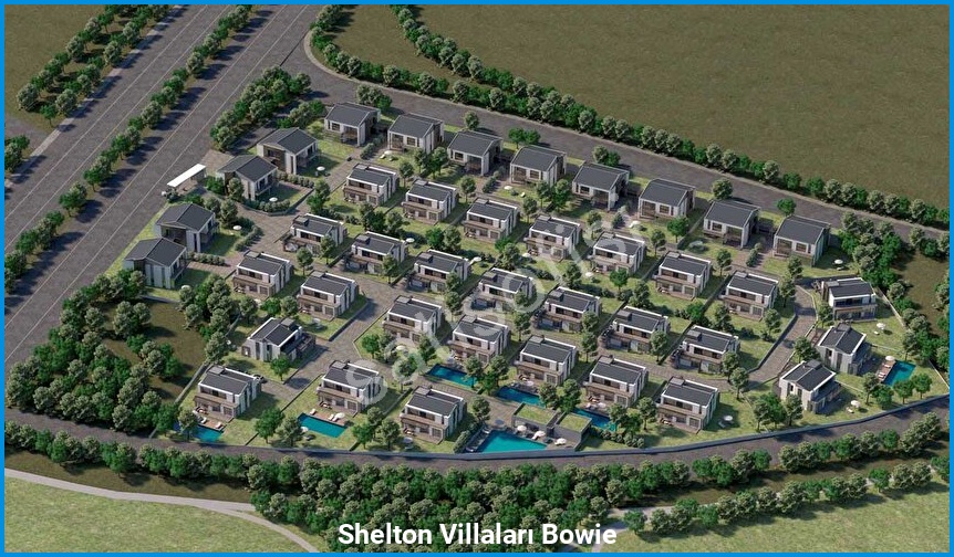 Shelton Villaları Bowie görsel 8