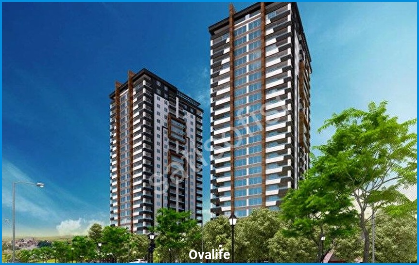 Ovalife