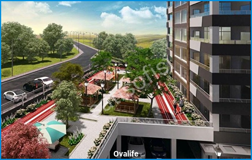 Ovalife görsel 4