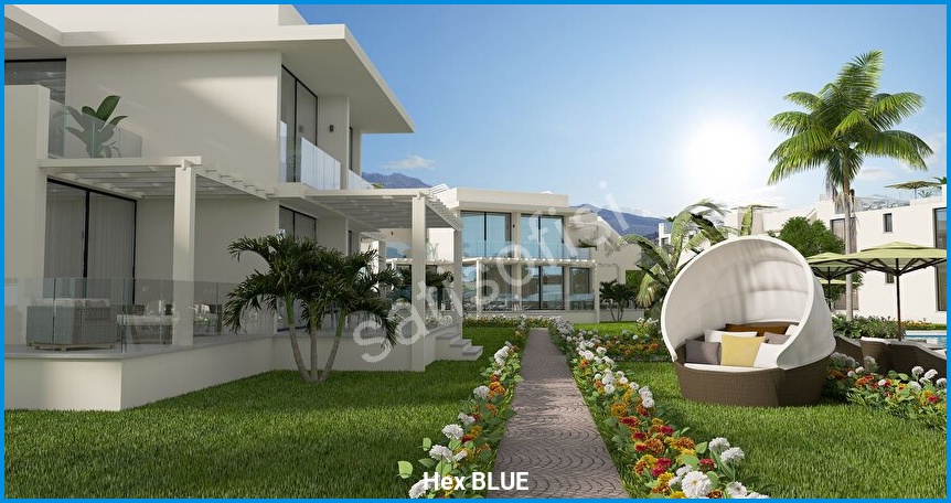 Hex BLUE 8