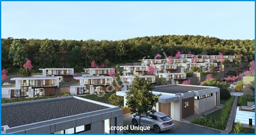 Acropol Unique 10