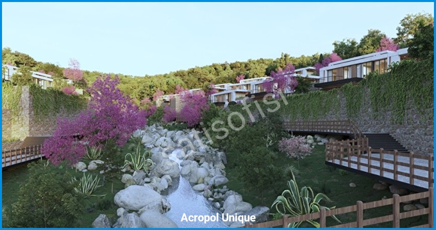 Acropol Unique 11