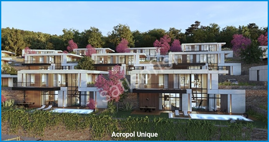 Acropol Unique 12