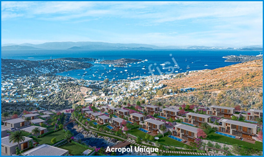 Acropol Unique 16