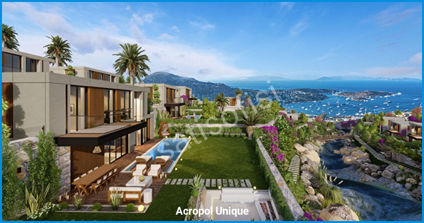 Acropol Unique 2