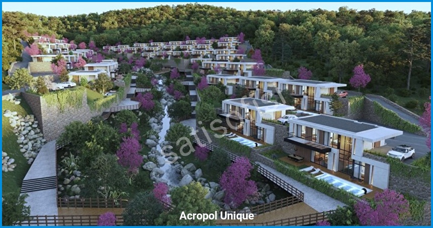 Acropol Unique 7