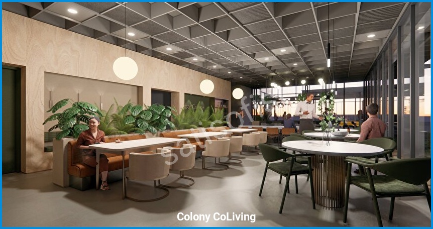 Colony CoLiving 13
