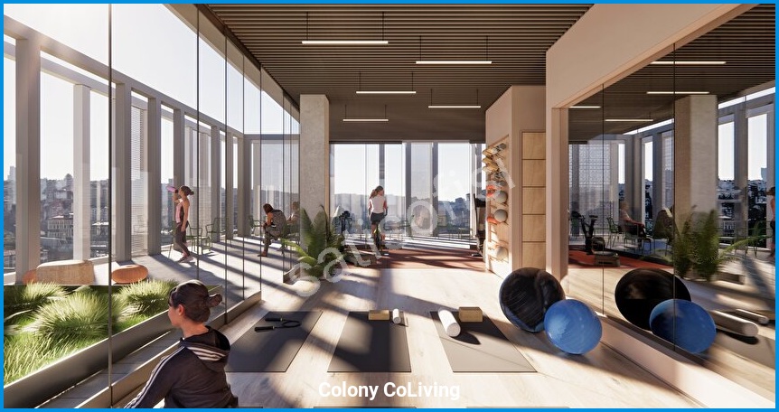 Colony CoLiving 14