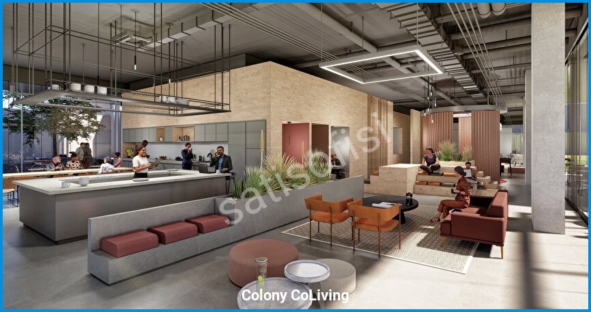 Colony CoLiving 15