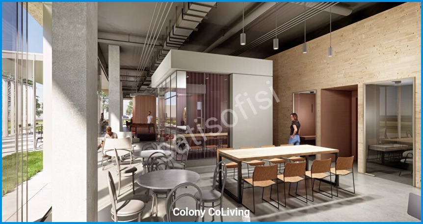 Colony CoLiving 16