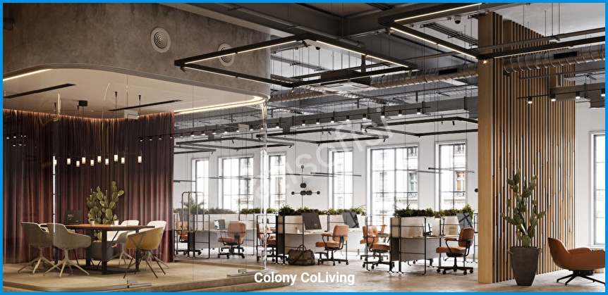 Colony CoLiving 17