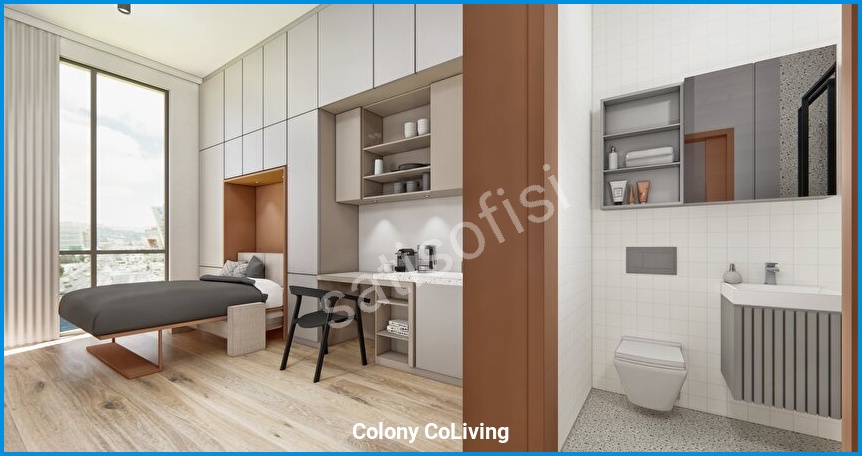 Colony CoLiving 18