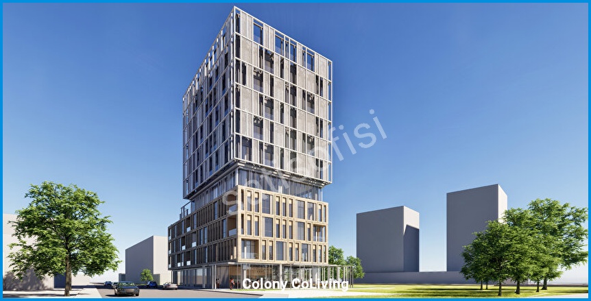 Colony CoLiving 3