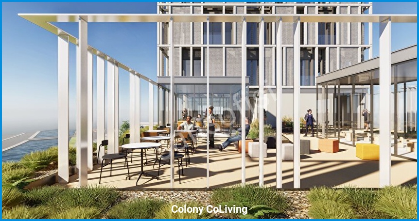 Colony CoLiving 4
