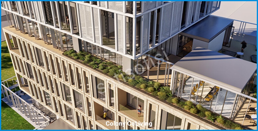 Colony CoLiving 9