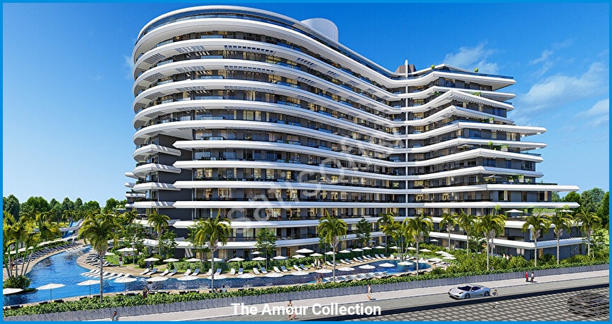 The Amour Collection