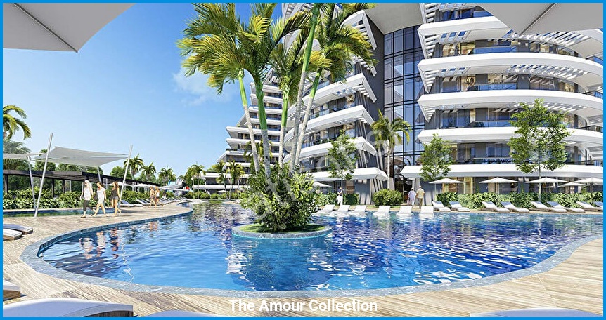 The Amour Collection görsel 4