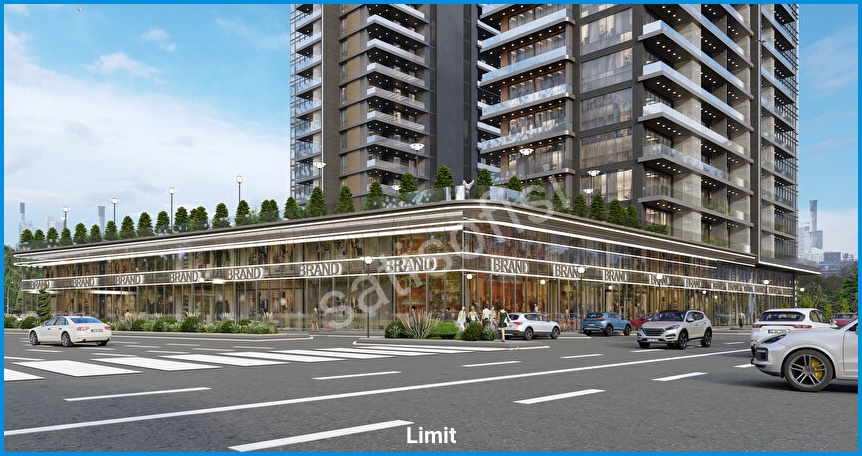 Limit Ankara 13