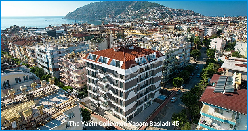 The Yacht Collection görsel 2
