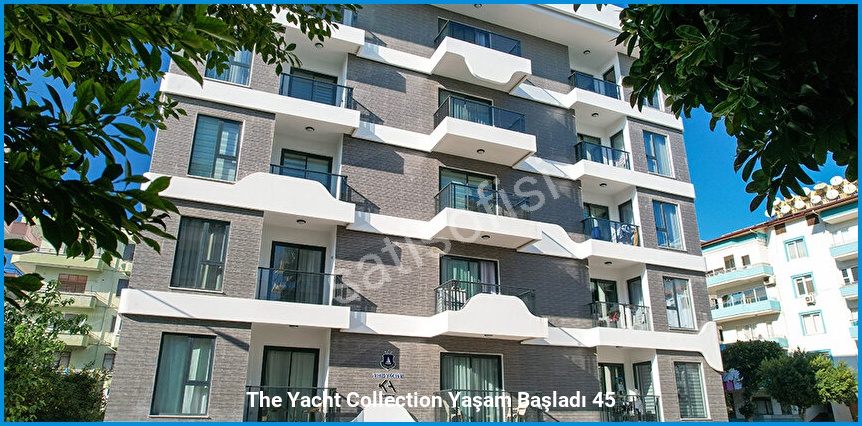 The Yacht Collection görsel 4