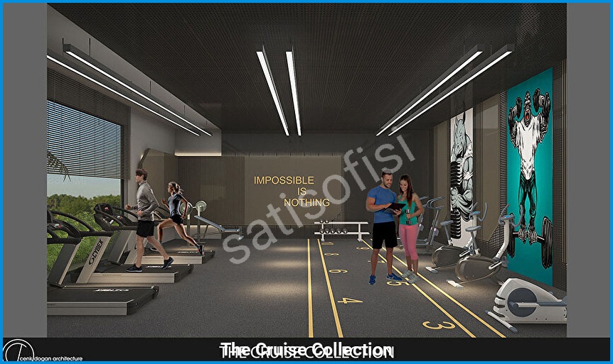 The Cruise Collection 12