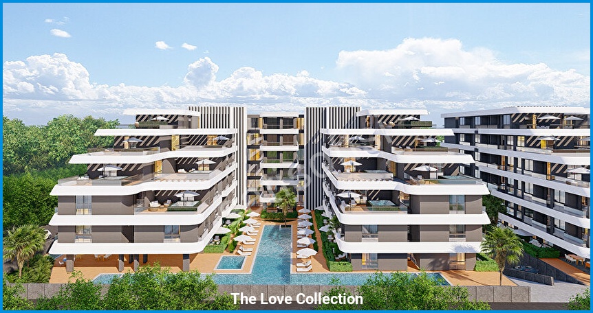 The Love Collection