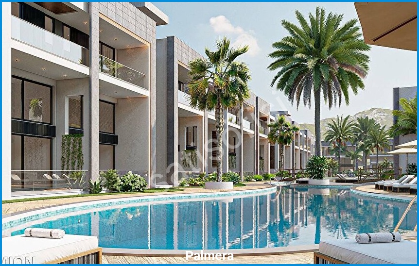 Palmera