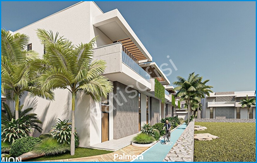 Palmera 10