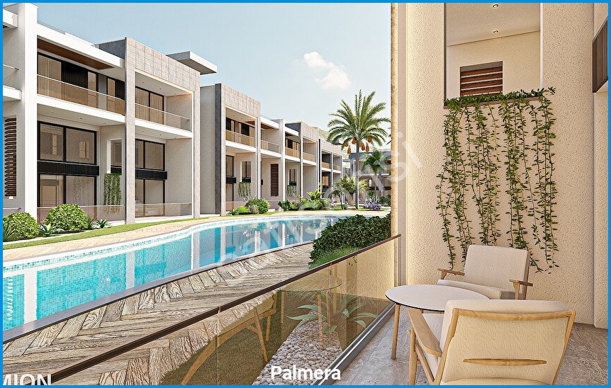 Palmera 11