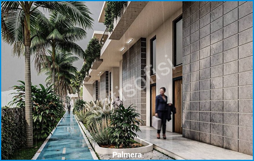 Palmera 12