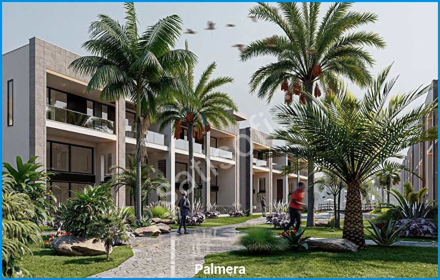 Palmera 13