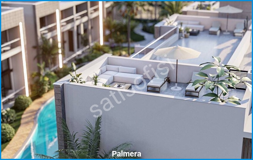 Palmera 14