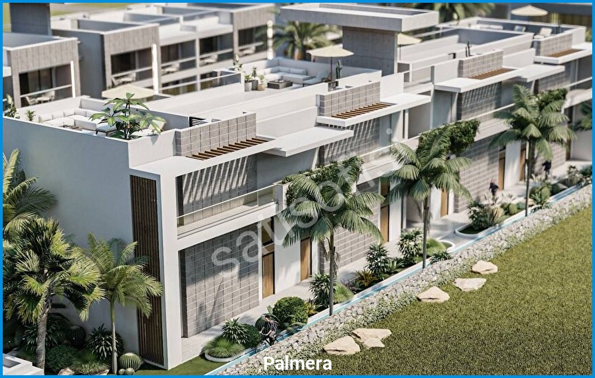Palmera 16