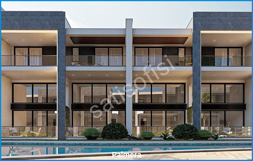 Palmera 17