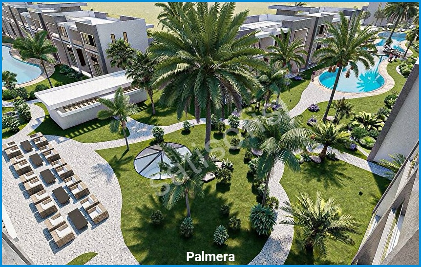 Palmera 18