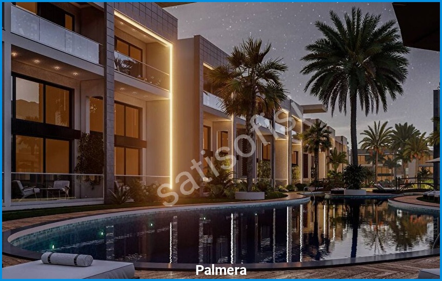 Palmera 19