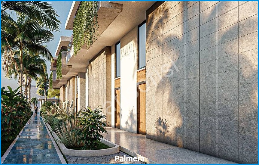 Palmera 20