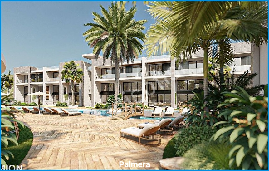 Palmera 5