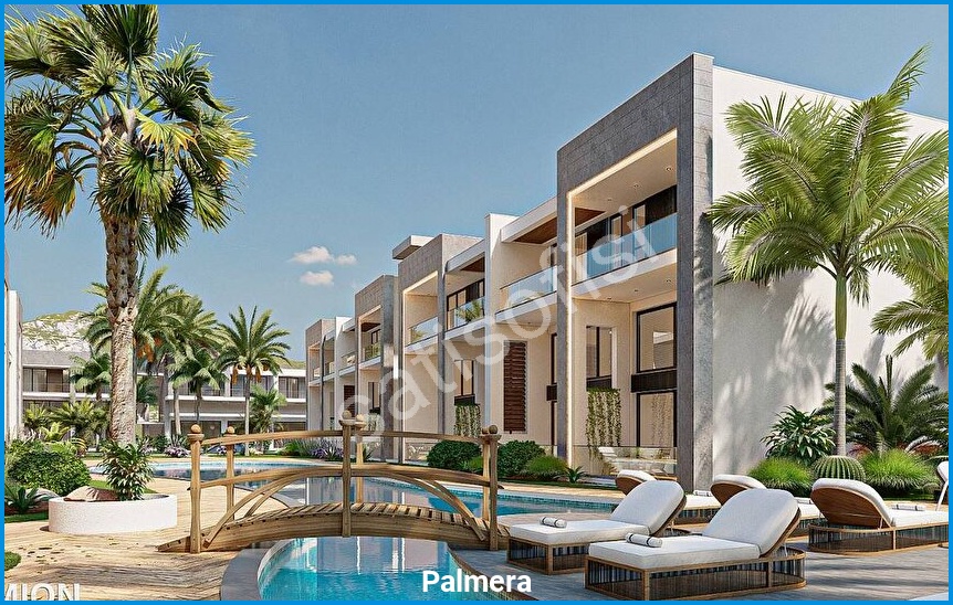 Palmera 6