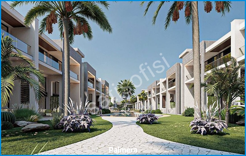 Palmera 8