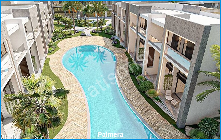 Palmera 9