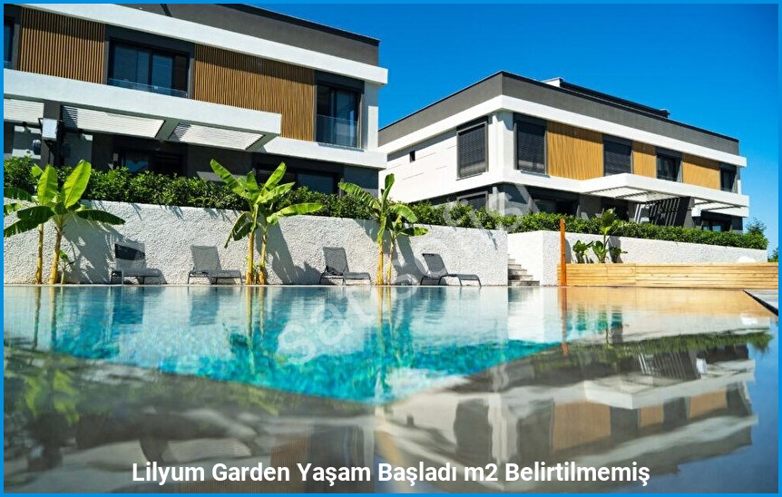 Lilyum Garden 2