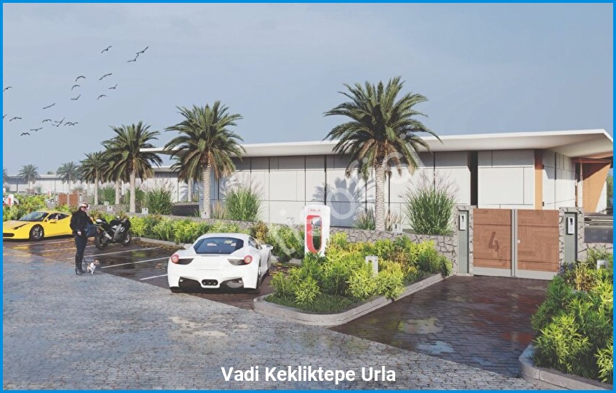 Vadi Kekliktepe Urla 5