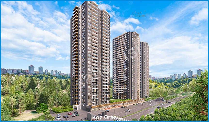 Koz Oran