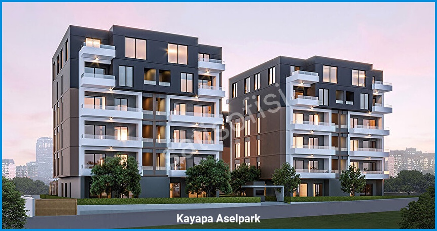 Kayapa Aselpark 2
