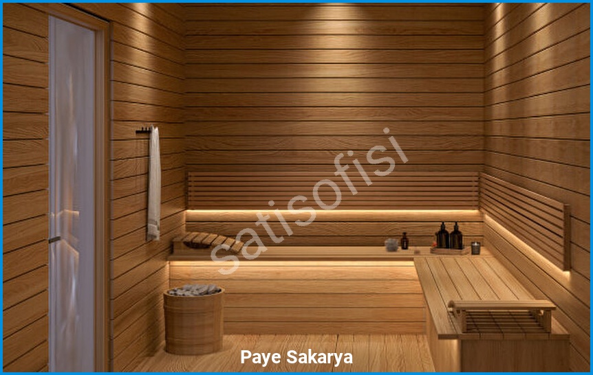 Paye Sakarya 12